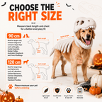 🦖 T-Rex Dinosaur Dog Costume | Glow Skeleton Halloween Outfit For Pets